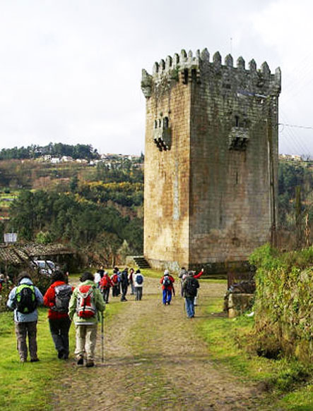 This image for Image Layouts addon